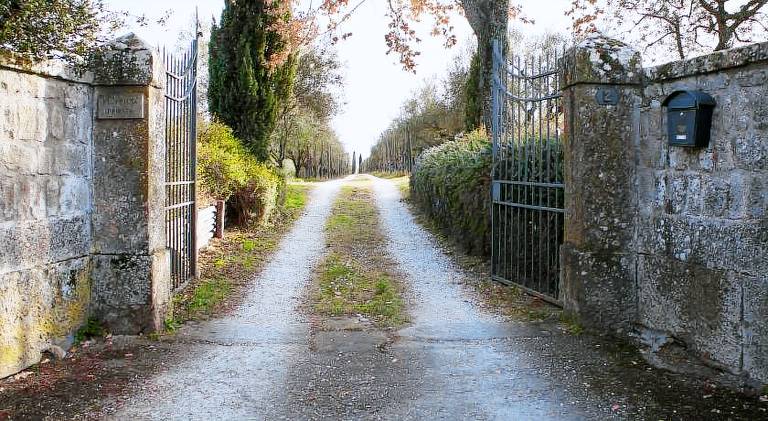 Vacation home with patio, pool & barbeque | Dogs allowed in Viterbo