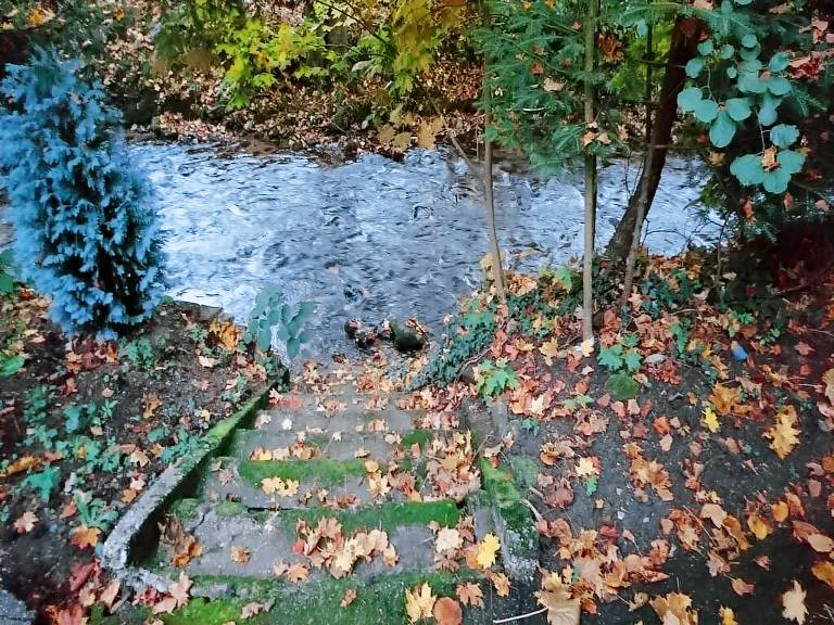 Appartement Baden-Baden