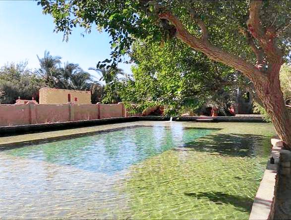 Eeri Siwa Oasis - Authentic Desert Guesthouse — photo 2