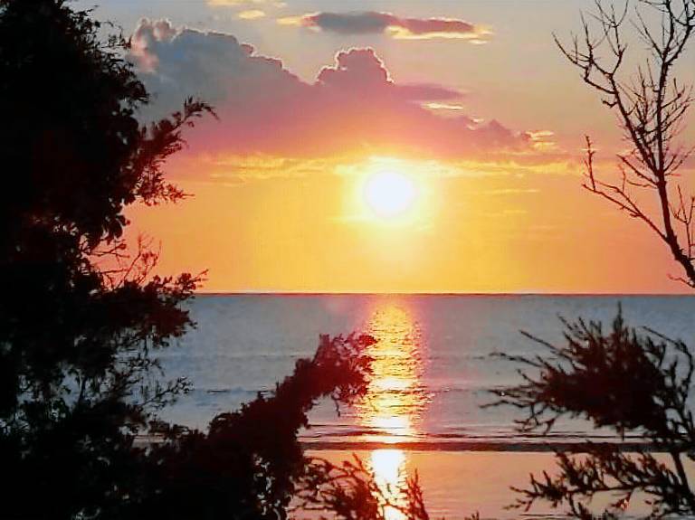 Cottage  Whitesboro-Burleigh