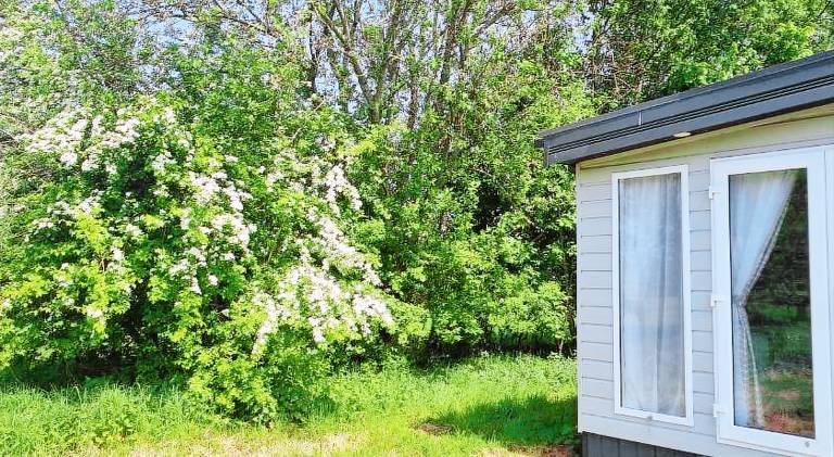 foto2