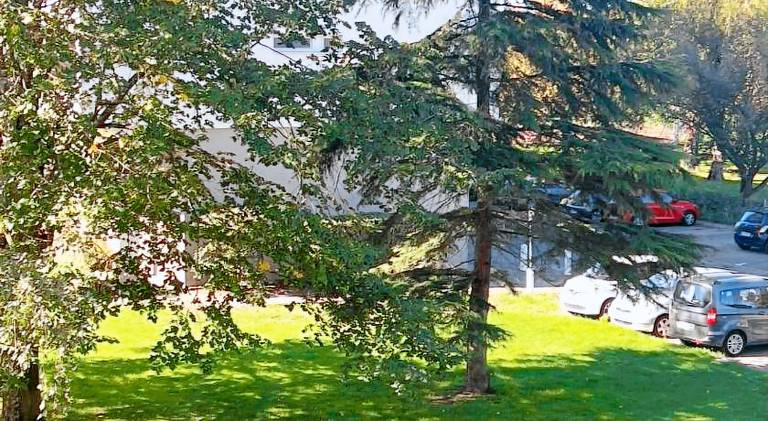 Holiday apartment with 2 rooms for 6 persons — photo 4