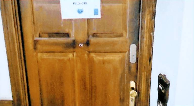 Rental apartment | Pets allowed — photo 5