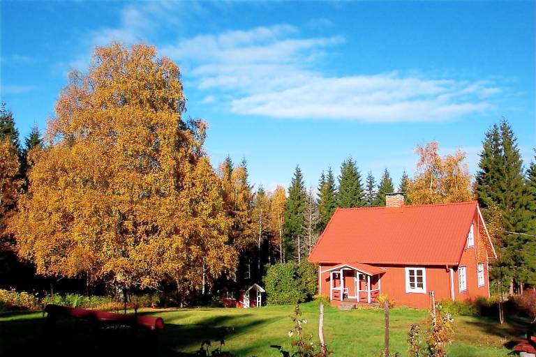 foto2