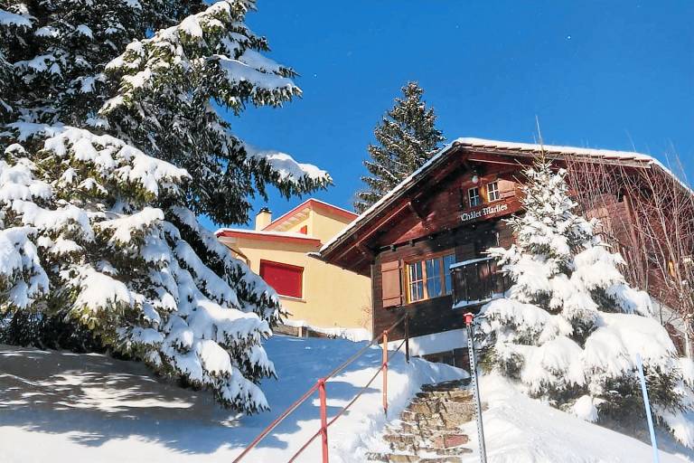 foto4