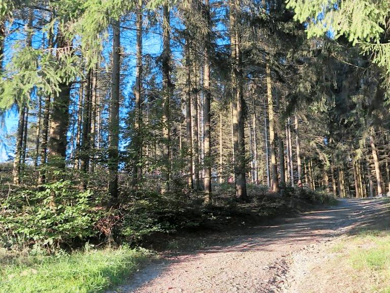 Appartement Sellinghausen