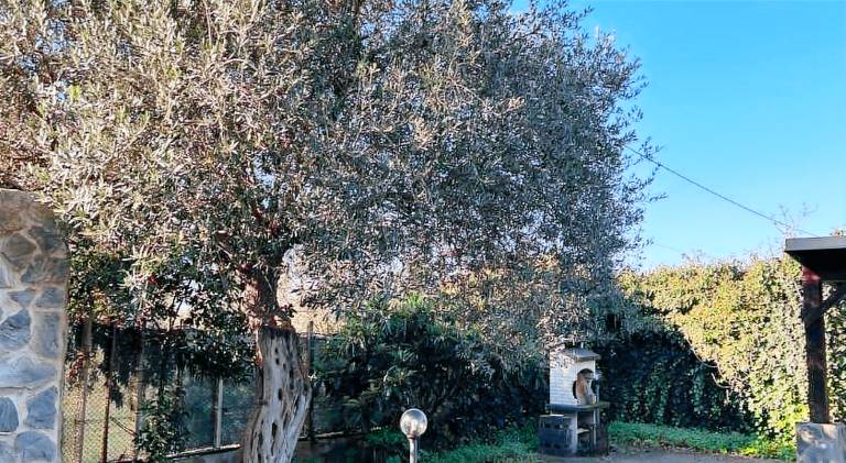 Vacation home | Pets allowed in Alghero