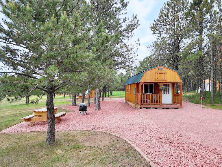 Cabin  Custer