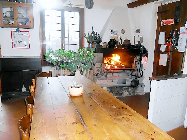 Farm with garden — photo 4