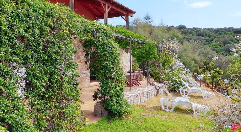 Villa with pool | Close to the beach | Dogs allowed — photo 4