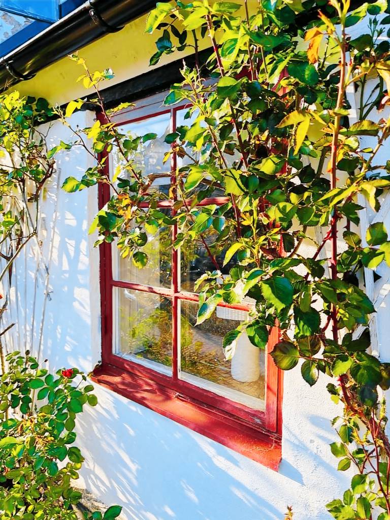 Children-friendly villa with garden, BBQ & pool | Next to the beach | Dogs allowed — photo 5