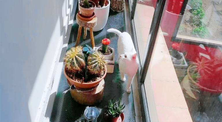Vacation home | Pets are welcome — photo 2