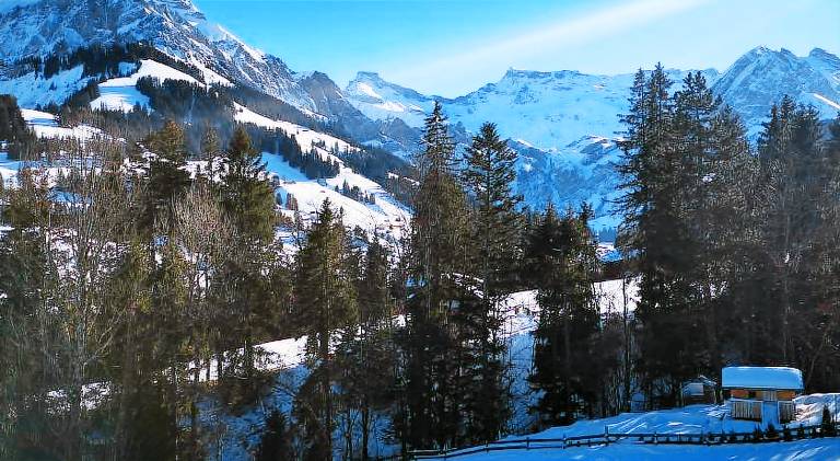 Holiday apartment with 3 rooms for 8 persons in Adelboden