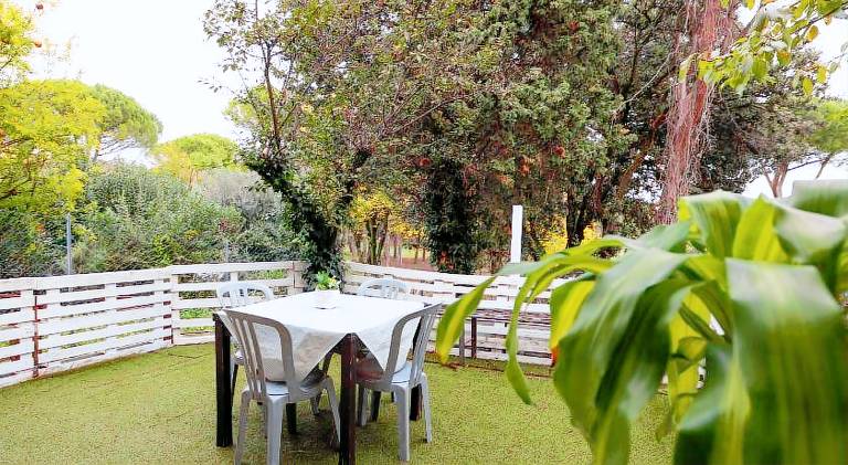 Rental apartment with terrace — photo 5
