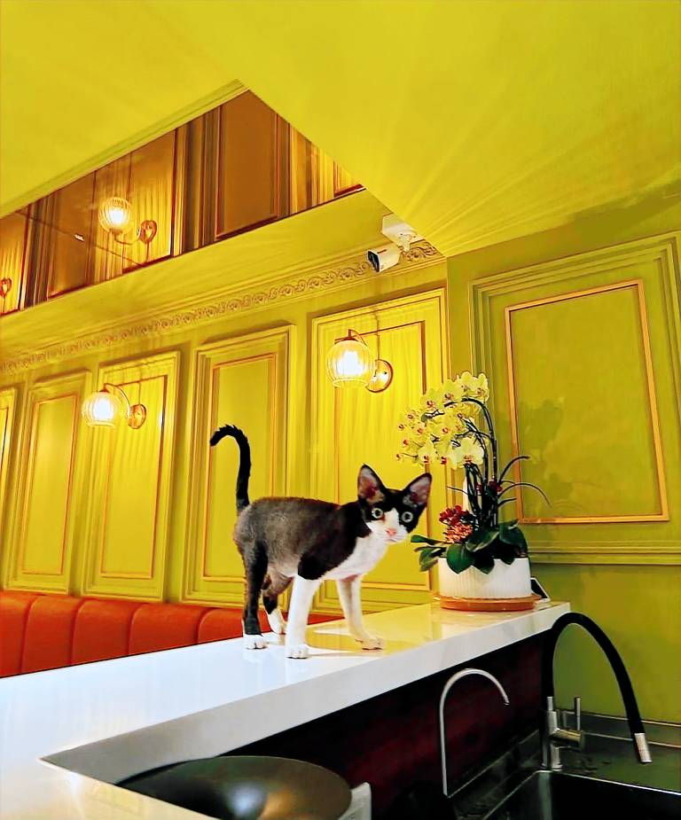 40 m&sup2; Ferienhaus