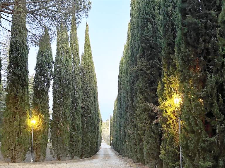 Villa Panconesi – Agriturismo con piscina e campo da Tennis a Montespertoli, vicino Firenze: Unità 1 SEGATOIO 4+2 POSTI LETTO in Montespertoli