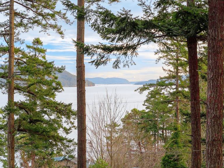 Cottage Orcas Island