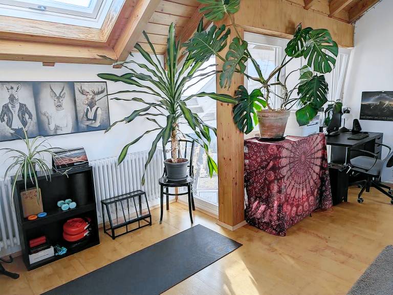 Ferienwohnung  Auenwald