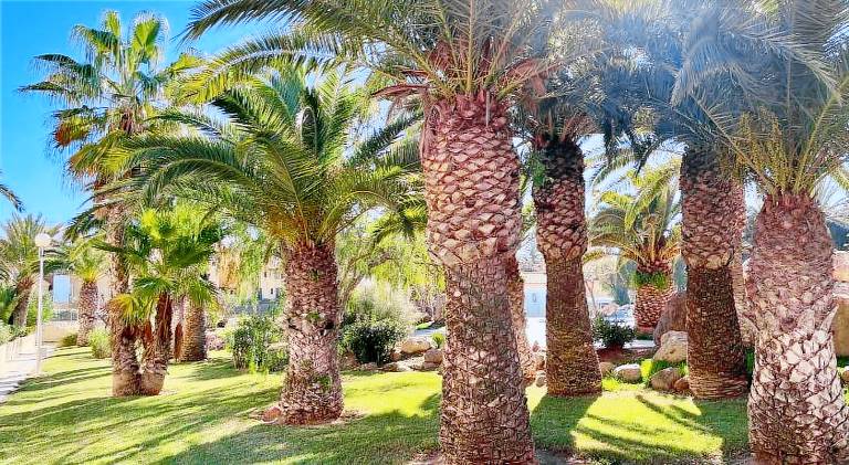 Beautiful rental apartment with grill, pool & yard | Beach nearby | Pets are welcome — photo 5