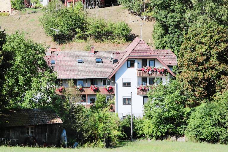 Ferienwohnung Freiamt