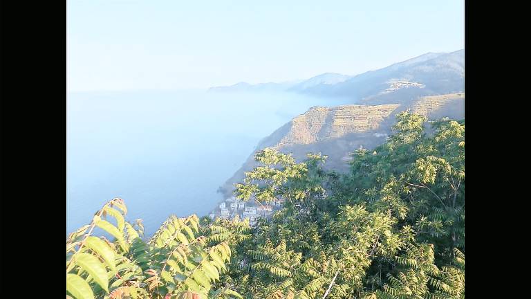 Pension Riomaggiore