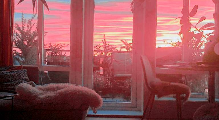 Beautiful apartment | Pets allowed — photo 4
