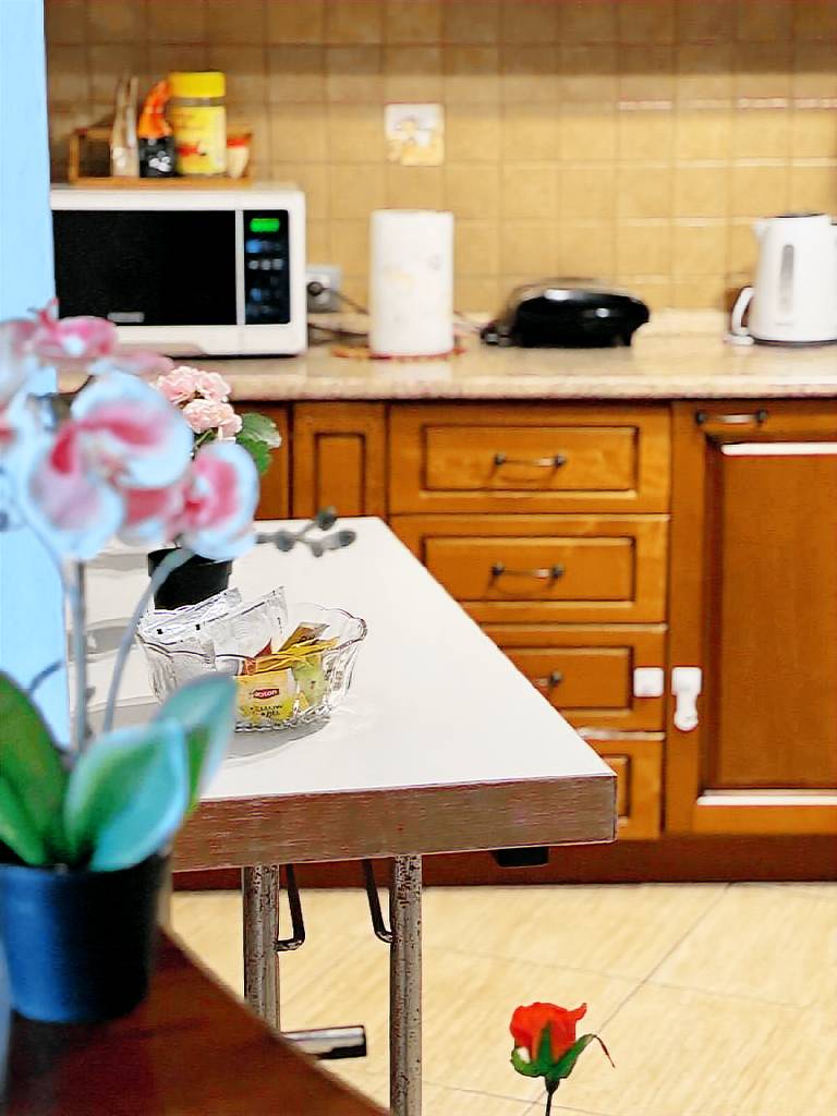 Holiday apartment | Suitable for remote work | Pets allowed — photo 5
