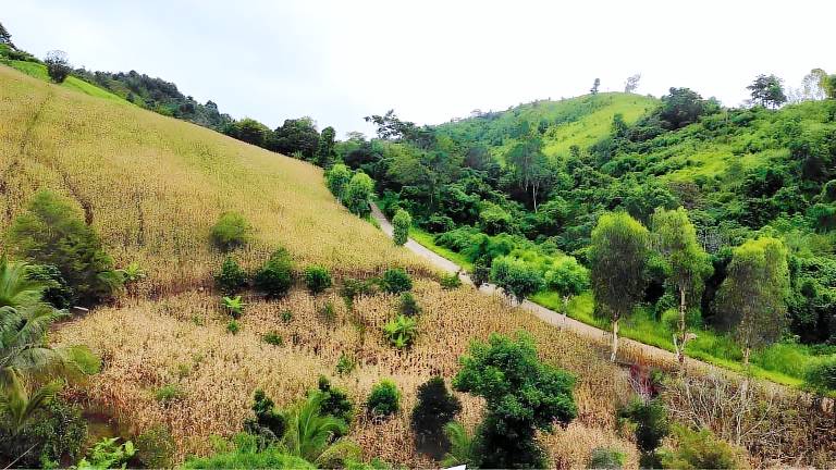Khaokho Pimphupha Farmstay - Pimpha Hut พิมฟ้า — photo 3
