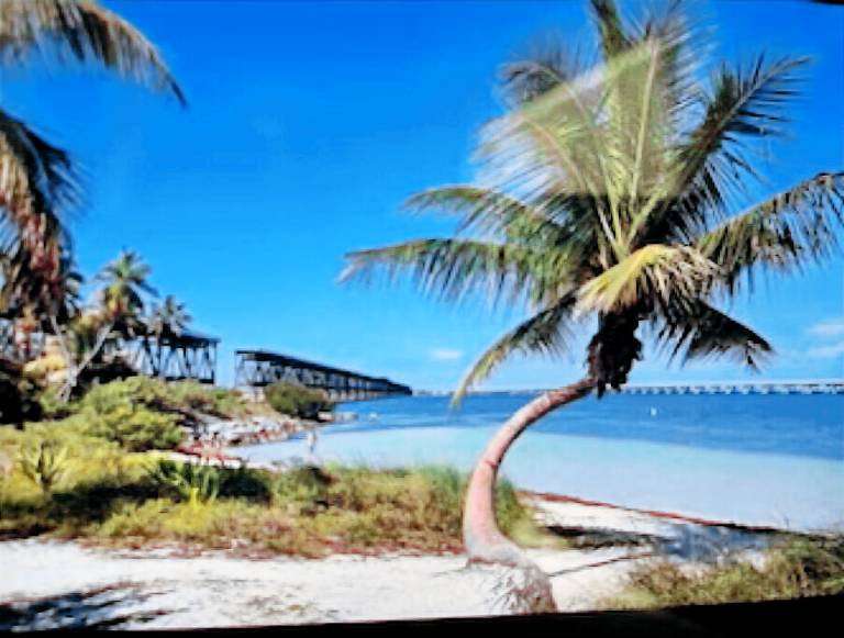 Cabin Summerland Key