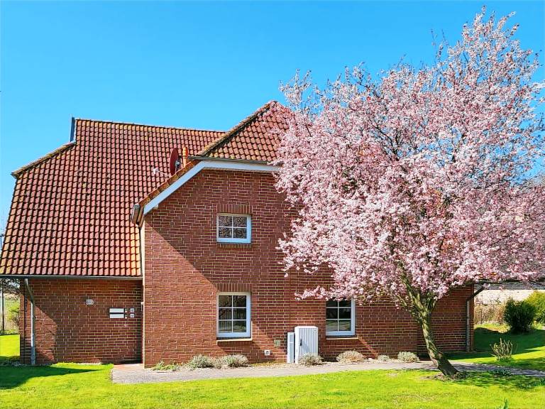 Ferienwohnung in Waase, Gingst für max. 4 Personen