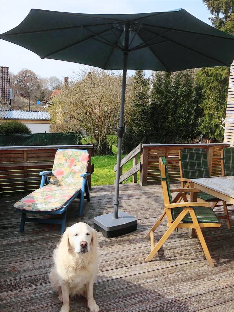 House with patio, BBQ & yard — photo 2