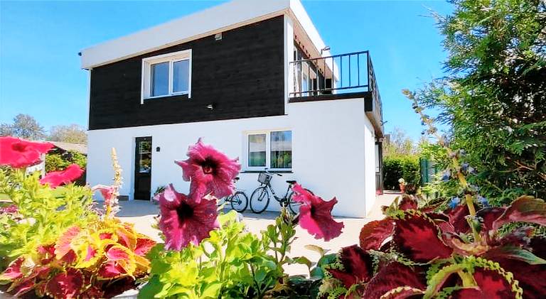 House | Pets are welcome in Riga