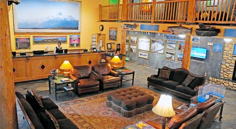 Lodge with garden & patio | Pets are welcome — photo 4