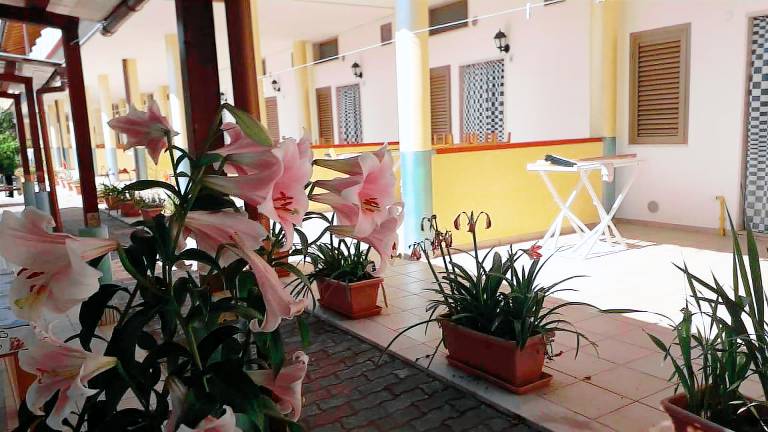 Holiday Home 'Bilo 2' with Private Terrace, Shared Garden and Wi-Fi — photo 2
