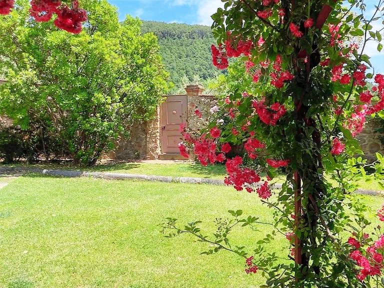 Lovely villa with terrace, private pool & jacuzzi | Pets allowed — photo 3