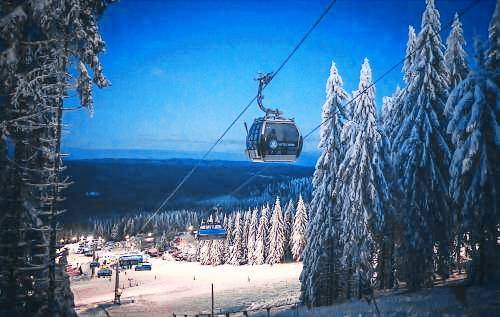Bed & Breakfast  Zieleniec