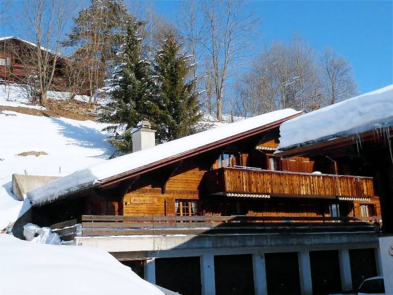 Ferienwohnung Schönried