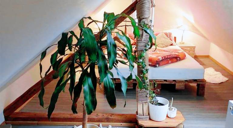 Apartmany Arin — photo 3