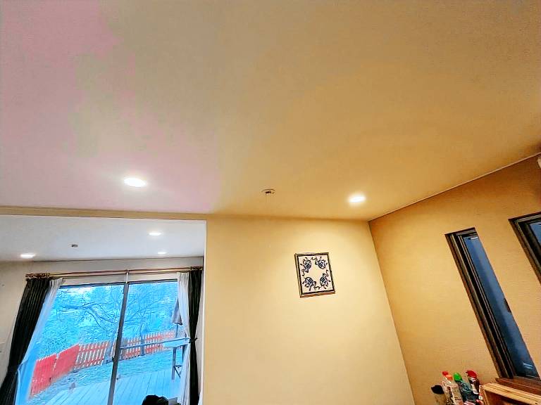 foto1