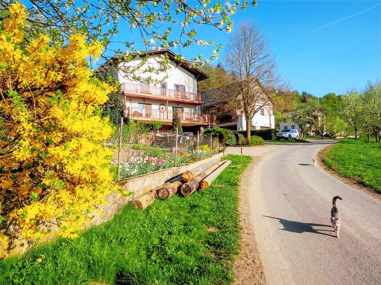 Ferienwohnung Yspertal