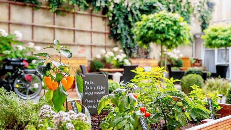 Ferienwohnung Stralsund