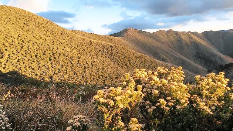 House Mount Hotham Alpine Resort (Unincorporated)