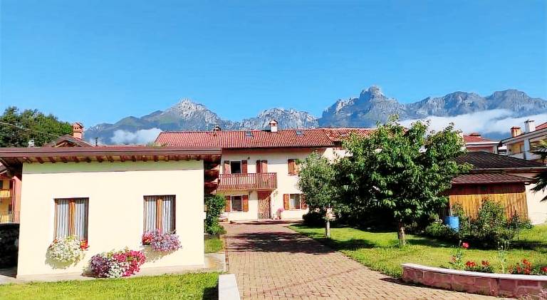 Glicine delle Dolomiti