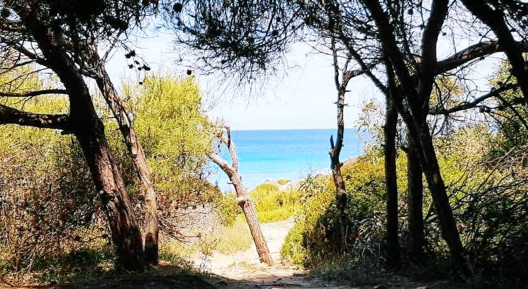 Villa | Next to the beach | Pet-friendly in Alezio