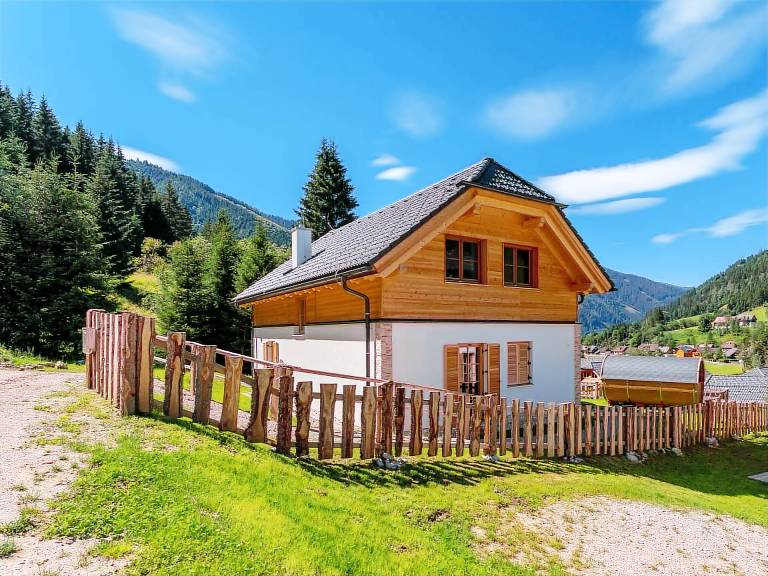 Chalet  Planneralm
