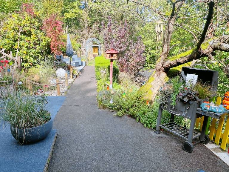 foto2