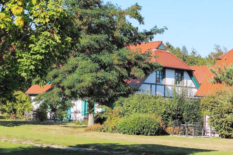 Ferienwohnung Dranske