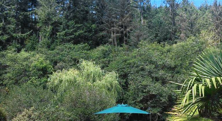 Rental apartment with 1 room for 2 persons — photo 3