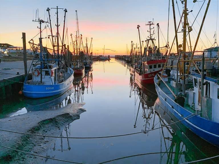 Ferienhaus „Achtkanthus Achtern Diek“ – nur 300 m bis zum Strand in Cuxhaven