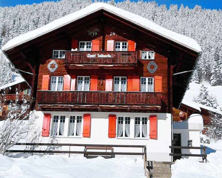 Chalet Soldanella